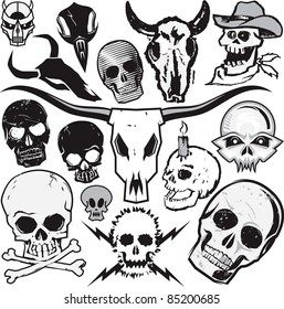 Skull Collection