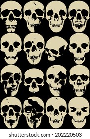 Skull collection dead body halloween