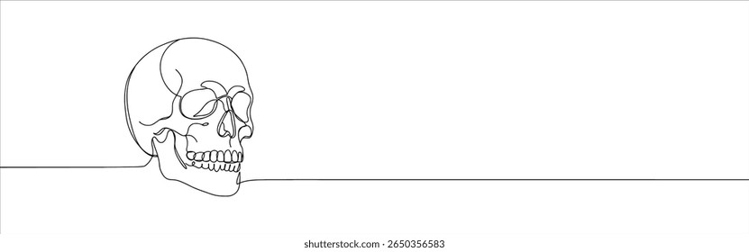 Caveira contínua um desenho de linha. Símbolo da morte. Ilustração vetorial.