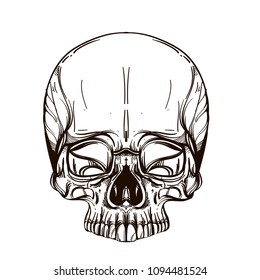 Skull contour sketch for tattoo, for printing on T-shirts and other items, for stickers. Template for coloring, engraving, pyrography.