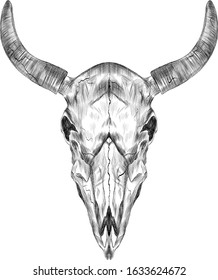 skull cow cattle horns mysticism black and white stroke graphics sketch vector