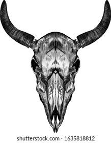 skull cow cattle horns mysticism black and white stroke graphics vector