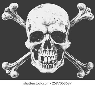 Skull Crossbones Black and White Illustration Vector