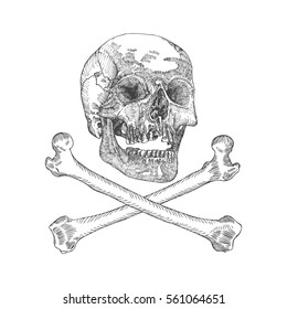 Skull with crossbones. Danger for life and occult witch craft magic symbol. Handmade detailed drawing. Vector illustration.