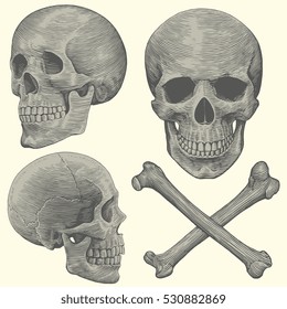 Skull and crossbones. Design set. Hand drawn engraving. Vector vintage illustration. Isolated on color background. 8 EPS