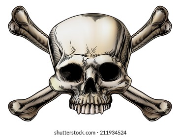 Skull and crossbones drawing with skull in the center of the crossed bones