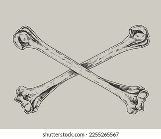 Skull and Crossbones Drawing Illustration