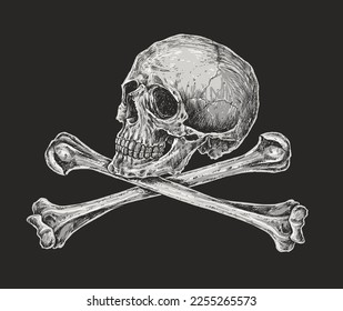 Skull and Crossbones Drawing Illustration