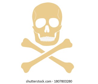 Skull and crossbones icon hazard warning sign isolated on white background. Vector illustration.