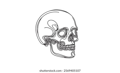 skull and crossbones line art isolated on white