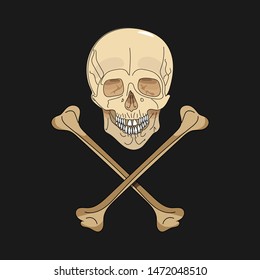 Skull with crossbones on a black background. Vector illustration