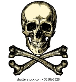 A skull and crossbones on a blank background