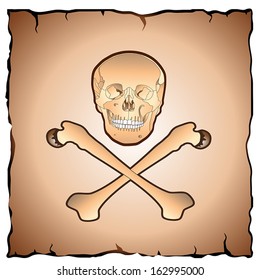 skull and crossbones on the old parchment