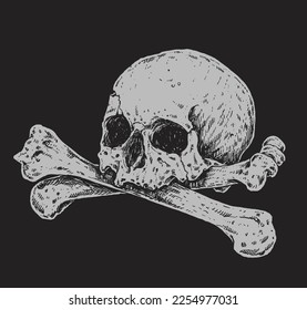 Skull and Crossbones Realistic Drawing Illustration