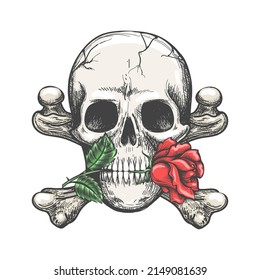 Skull crossbones rose. Cross bones dead head with roses flower vintage sketch, crosses bone skulls mouth blossom tattoo cool drawn paint design illustration