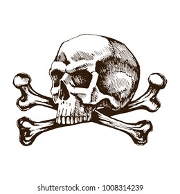 Skull and crossbones. Sketch vector hand drawn for tattoo illustrations. The symbol of life and death.