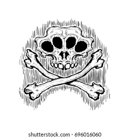 Skull and crossbones. Vector graphic illustration