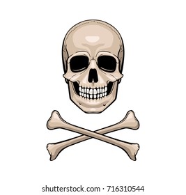 Vector Cartoon Pirate Skull Crossbones Stock Vector (Royalty Free ...