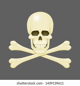 Skull and crossbones  vector illustration. Jolly Roger, pirate, danger, anatomy, poison symbol.
