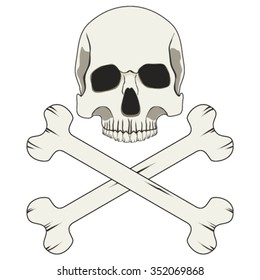 Skull and Crossbones. Vector illustrations