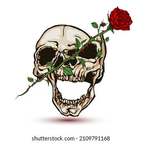 Skull cut in two by a rose. Hand drawn vector illustration in tattoo style.