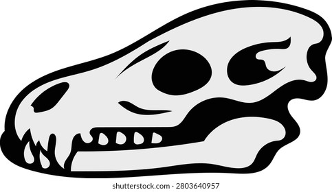 The Skull of dead animal
