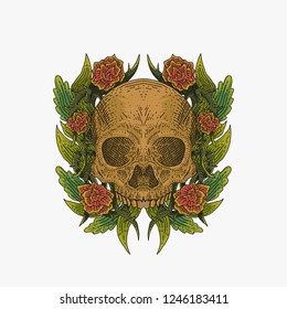 skull decoration vector illustration
