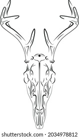 skull deer antlers horn fallow deer cranium death scary creepy vector symbol 