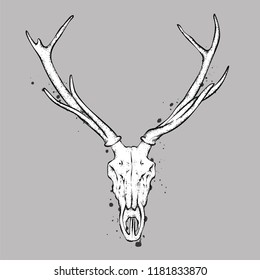 Skull of a deer and horns. Vector illustration for a postcard or poster, tattoo or print on clothes. Vintage and retro, tribe.