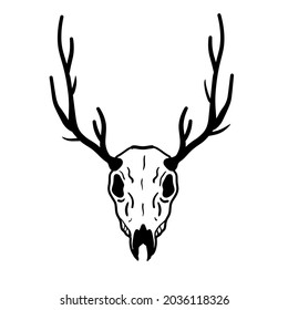 Calavera de ciervo. Trofeo de caza con cuernos. Antler de ciervo o reno. Aterrador dibujo en blanco y negro para Halloween. Ilustración de dibujos animados aislados en blanco