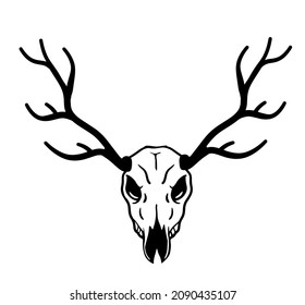 Skull of deer. Hunting trophy with horns. Antler of stag or reindeer. Scary black and white drawing for Halloween.