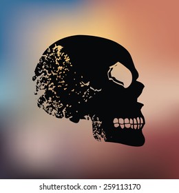 Skull design on blur background,grunge vector