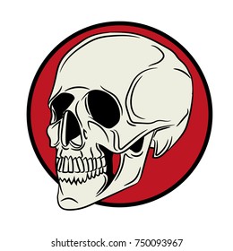 Skull Design vector