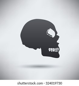 Skull design,clean vector