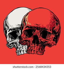 skull detailed vector illstration art