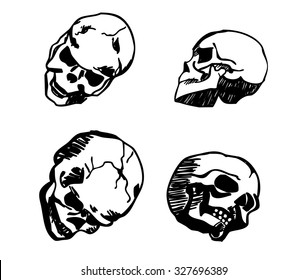 skull in different positions drawing black isolated on white background vector