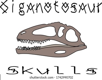 skull of the dinosaur "Giganotosaurus" with the inscription