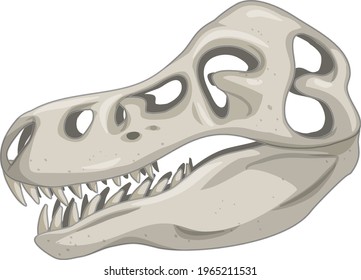 Skull of dinosaur skeletons on white background illustration