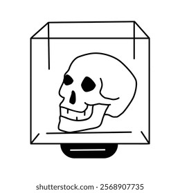 A skull displayed in a protective case as part of an exhibit