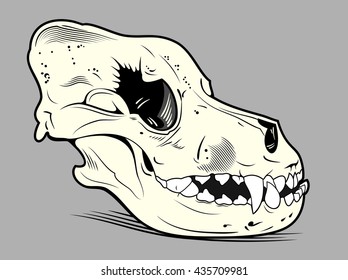 skull dog