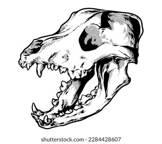 Skull Dog Hand drawn Sketch Vector illustration black and white