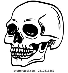 Skull Doodle Drawing Line Art Illustration Vector