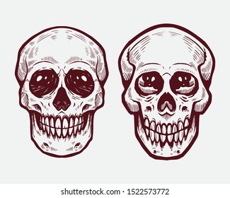 Skull Doodles Illustration Mascot Vector 