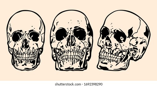 Skull drawing and painting, silhouette, vector illustration and design.