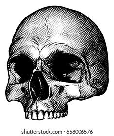 Skull drawing in a retro vintage wood block etched or engraved style