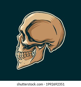 Skull drawing side view in vintage style. Vector illustration.