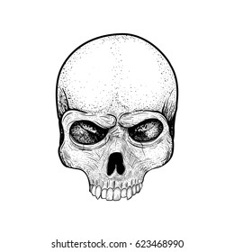 Skull drawing in a vintage retro woodcut etched or engraved style