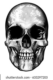 Skull drawing in a vintage retro woodcut etched or engraved style