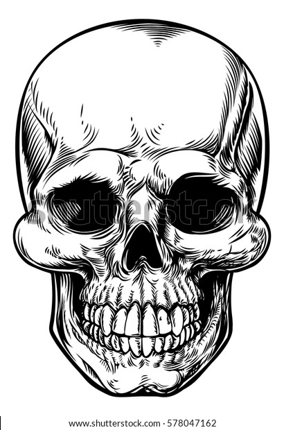 Skull drawing in a vintage retro woodcut etched or\
engraved style