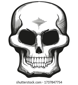 Skull drawn in black ink on a white background. Avatar.